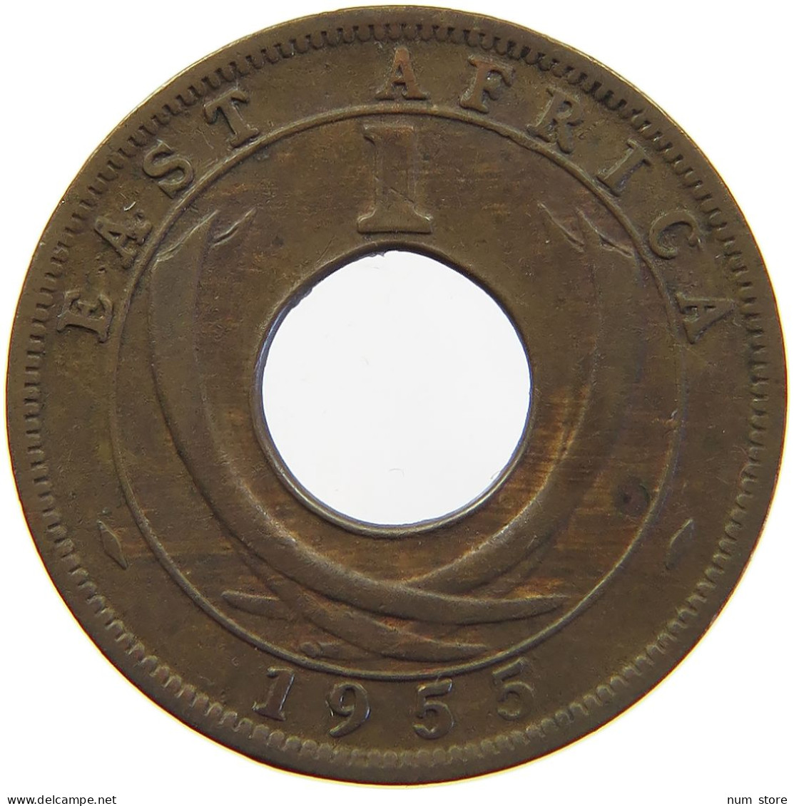 EAST AFRICA CENT 1955 ELIZABETH II. (1952-) #MA 065532 - Colonie Britannique