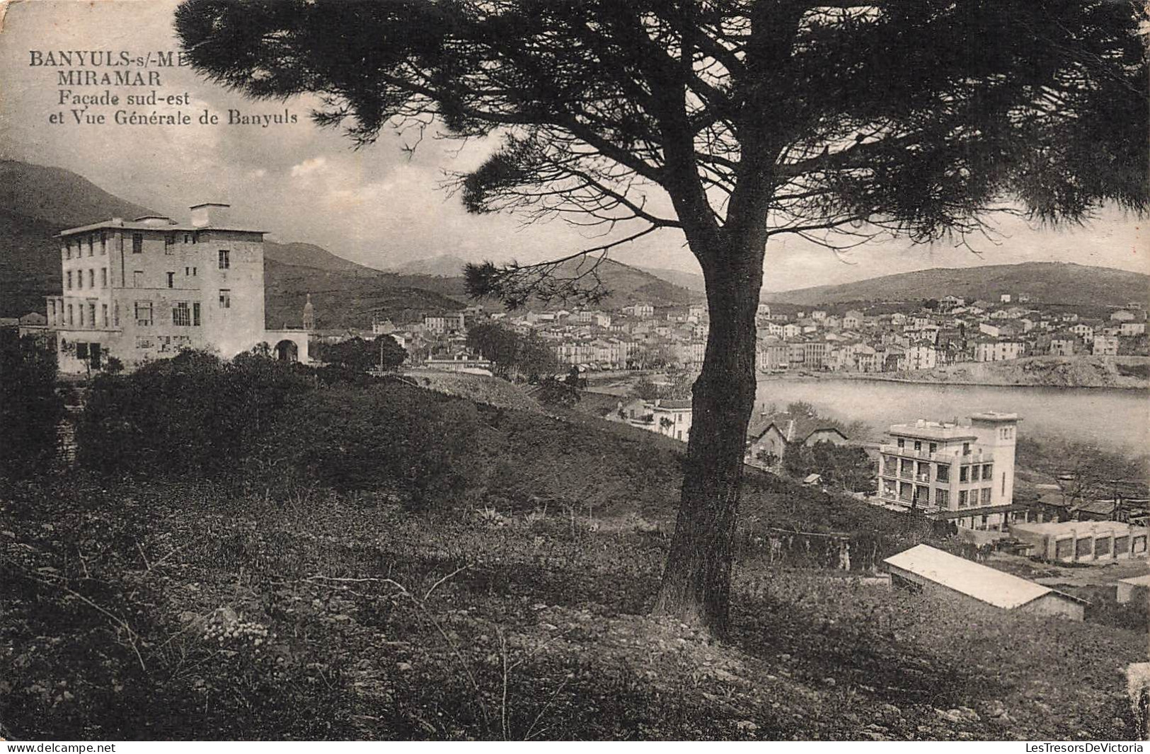 FRANCE - Banyuls Sur Mer - Miramar - Façade Sud-est Et Vue Générale De Banyuls - Carte Postale Ancienne - Banyuls Sur Mer