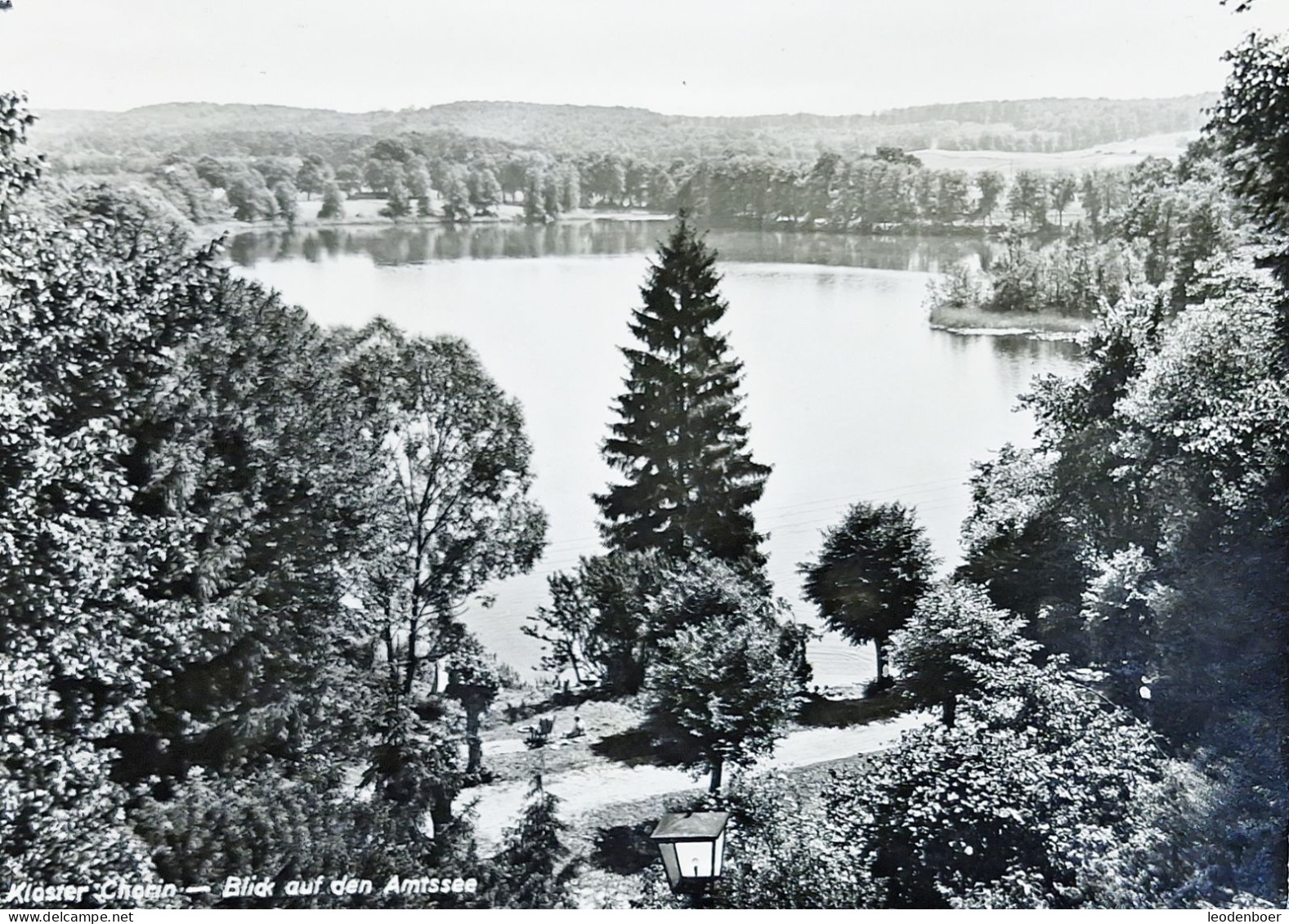 Chorin - Kloster Chorin - Blick Auf Den Amtsee - 4019 - Chorin