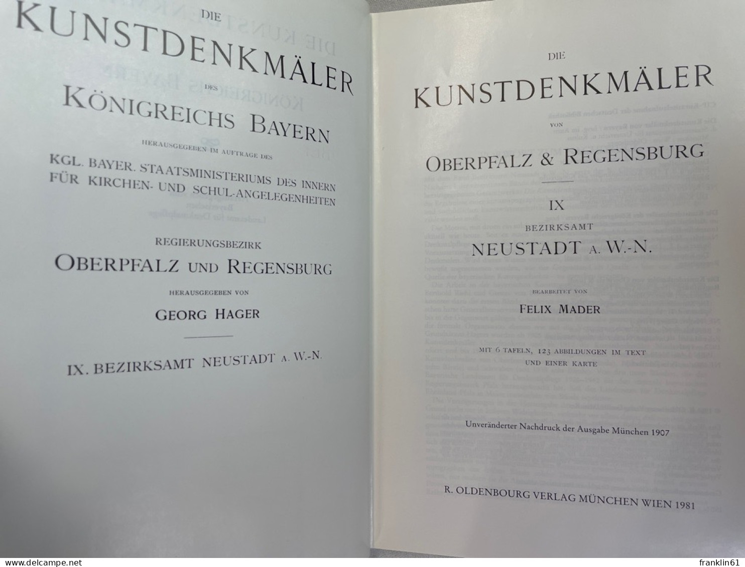 Die Kunstdenkmäler Von Oberpfalz & [und] Regensburg; Band 9., Bezirksamt Neustadt A.W.-N. - Architecture