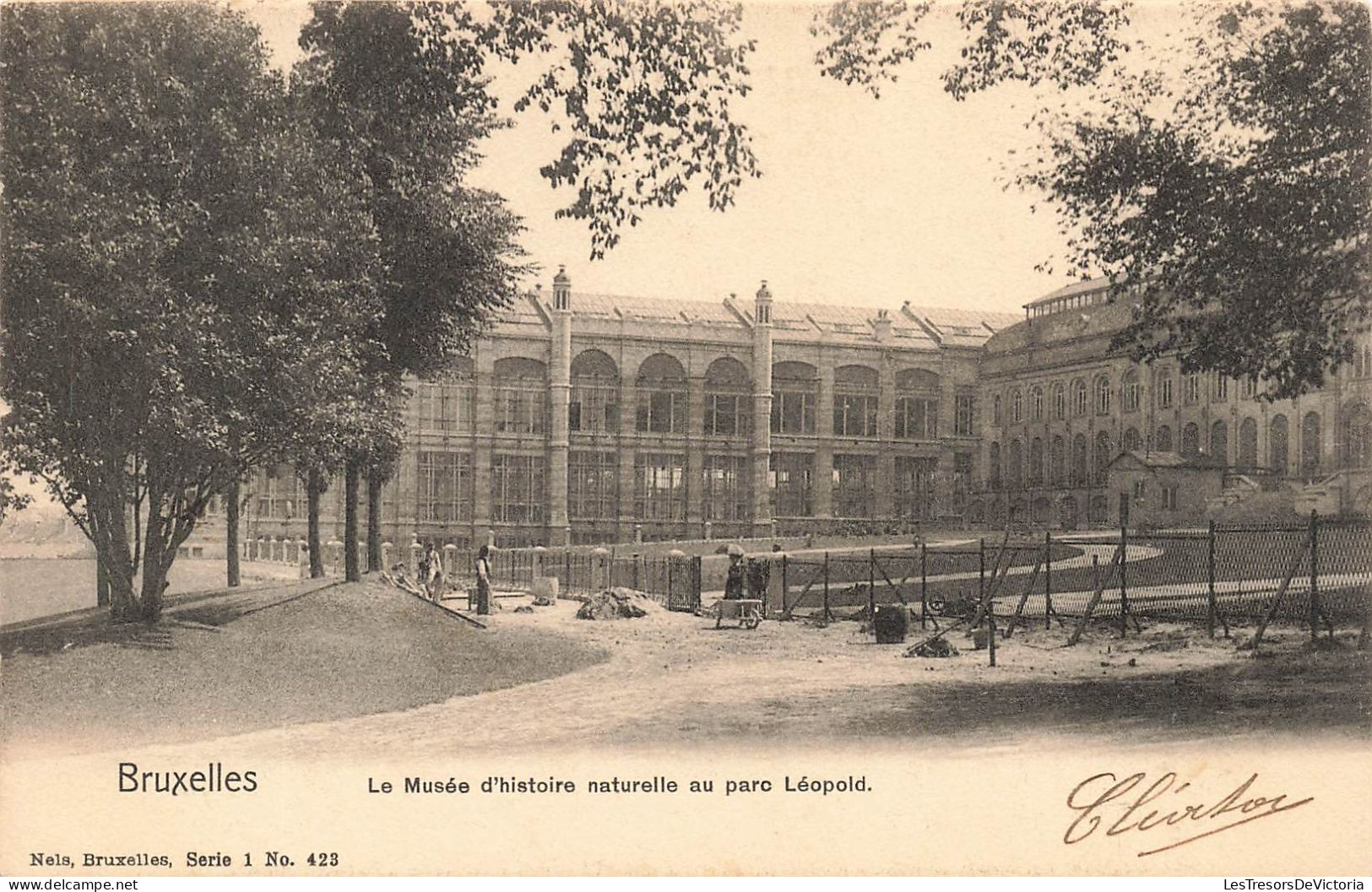 BELGIQUE - Bruxelles - Le Musée D'histoire Naturelle Au Parc Léopold - Animé - Carte Postale Ancienne - Museums