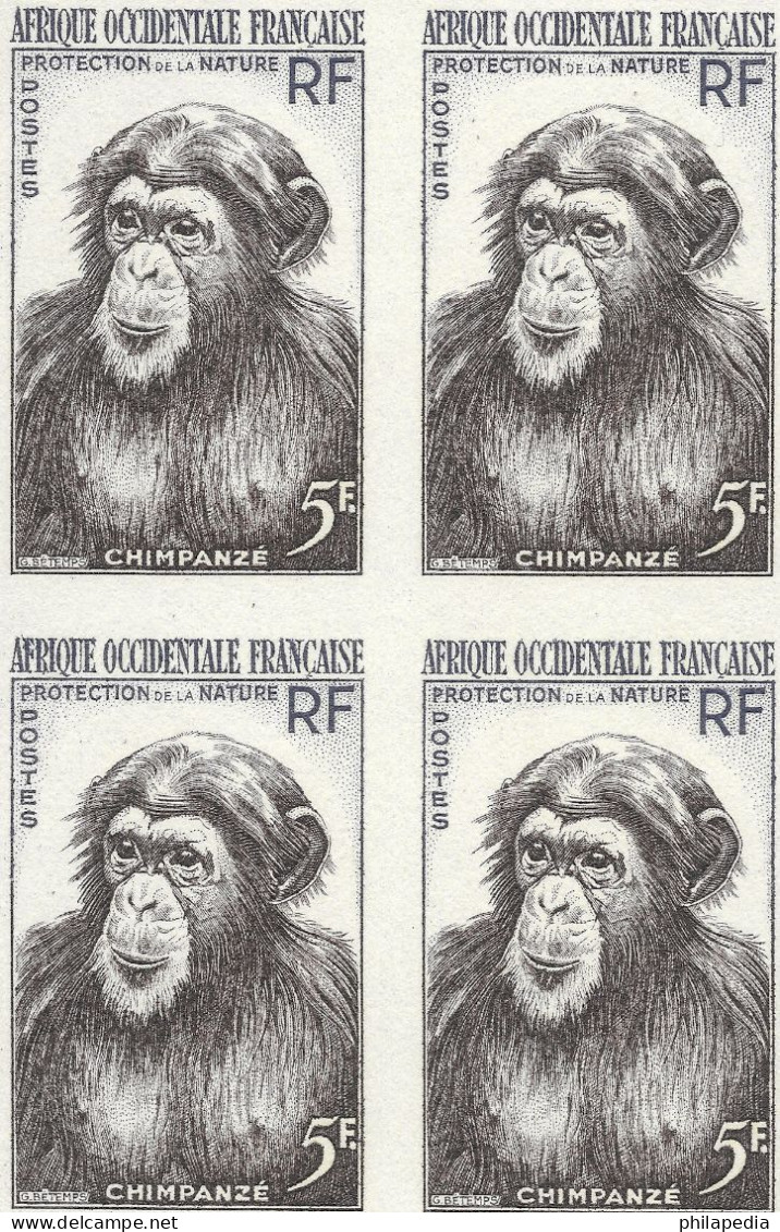 Aof France Faune Singe Chimpanzé Essais Non Dentelés Monkeys Apes Imperfs Proofs Essay Affen Geschnitten ** 1955 + 180 € - Schimpansen