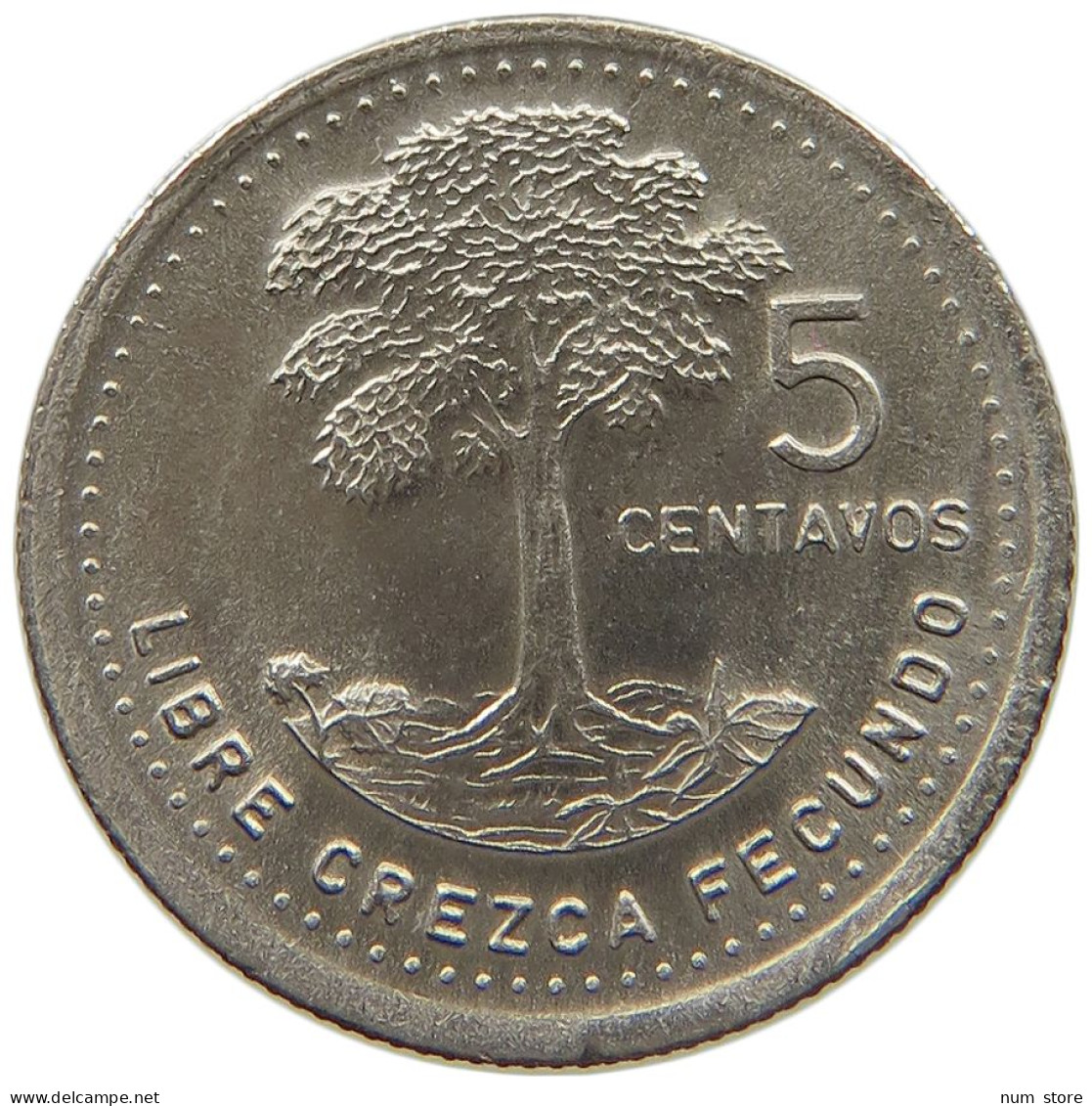 GUATEMALA 5 CENTAVOS 1987  #MA 025419 - Guatemala