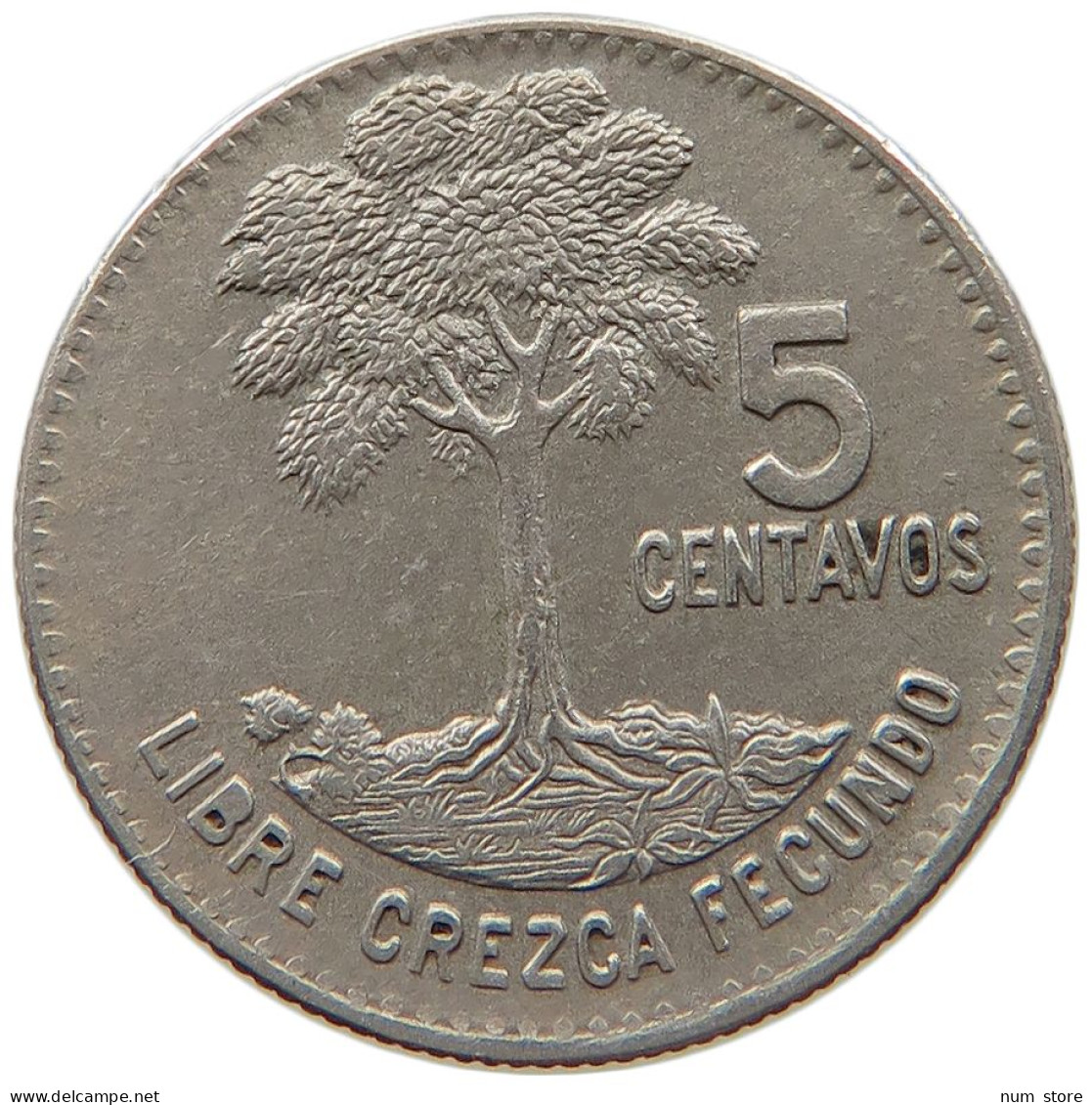 GUATEMALA 5 CENTAVOS 1967  #MA 063159 - Guatemala