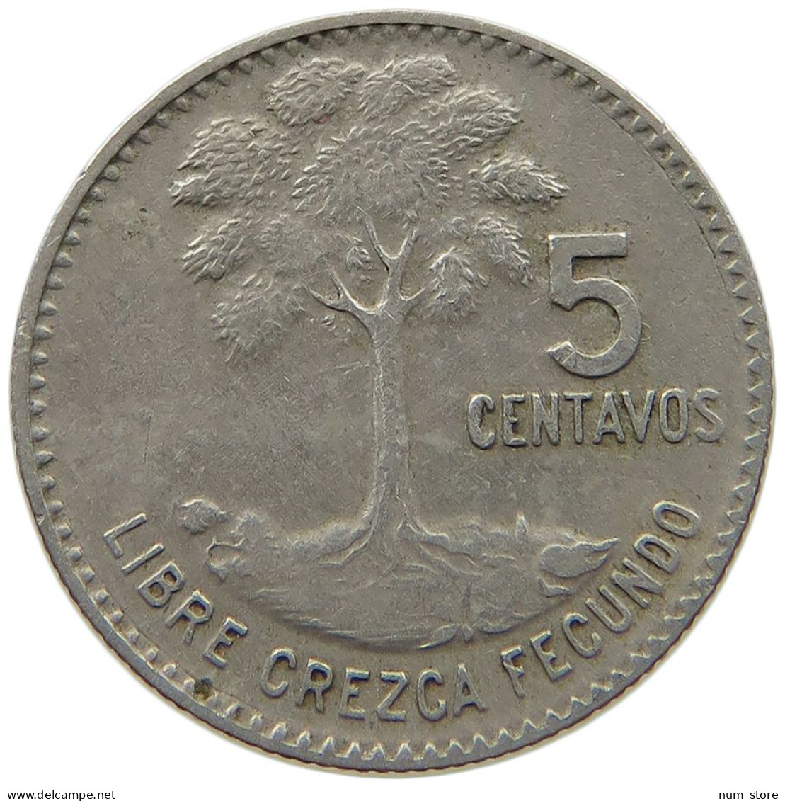 GUATEMALA 5 CENTAVOS 1970  #MA 025420 - Guatemala