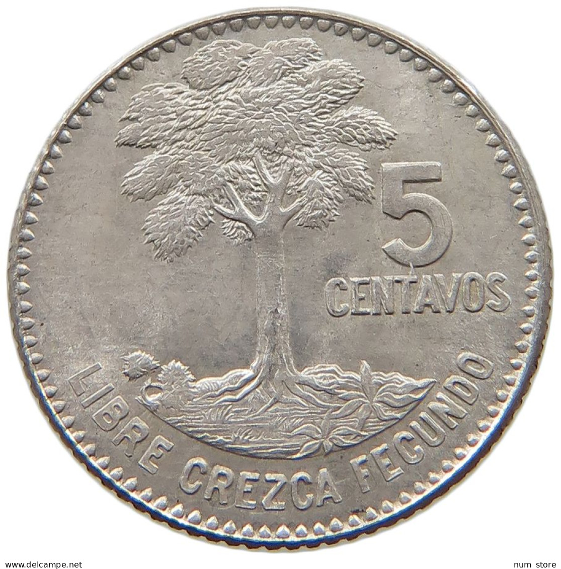 GUATEMALA 5 CENTAVOS 1960  #MA 025399 - Guatemala