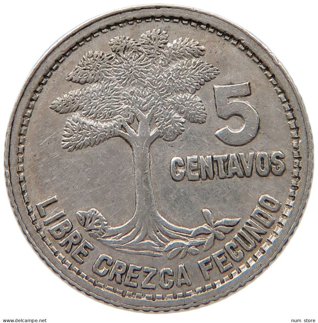 GUATEMALA 5 CENTAVOS 1951  #MA 063160 - Guatemala