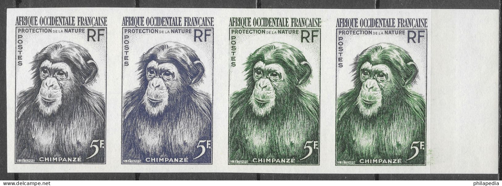 Aof France Faune Singe Chimpanzé Essais Non Dentelés Monkeys Apes Imperfs Proofs Essay Affen Geschnitten ** 1955 + 180 € - Chimpanzees