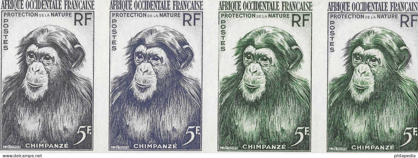 Aof France Faune Singe Chimpanzé Essais Non Dentelés Monkeys Apes Imperfs Proofs Essay Affen Geschnitten ** 1955 + 180 € - Schimpansen