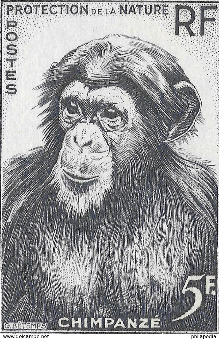 Aof France Faune Singe Chimpanzé Essais Non Dentelés Monkeys Apes Imperfs Proofs Essay Affen Geschnitten ** 1955 + 180 € - Chimpanzés