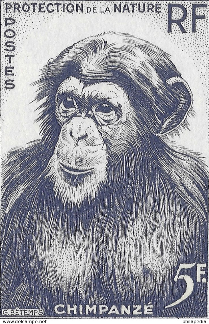 Aof France Faune Singe Chimpanzé Essais Non Dentelés Monkeys Apes Imperfs Proofs Essay Affen Geschnitten ** 1955 + 180 € - Schimpansen