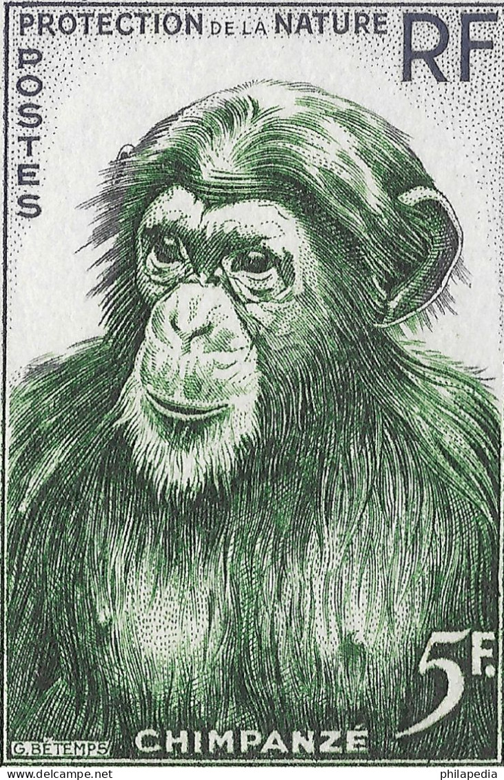 Aof France Faune Singe Chimpanzé Essais Non Dentelés Monkeys Apes Imperfs Proofs Essay Affen Geschnitten ** 1955 + 180 €