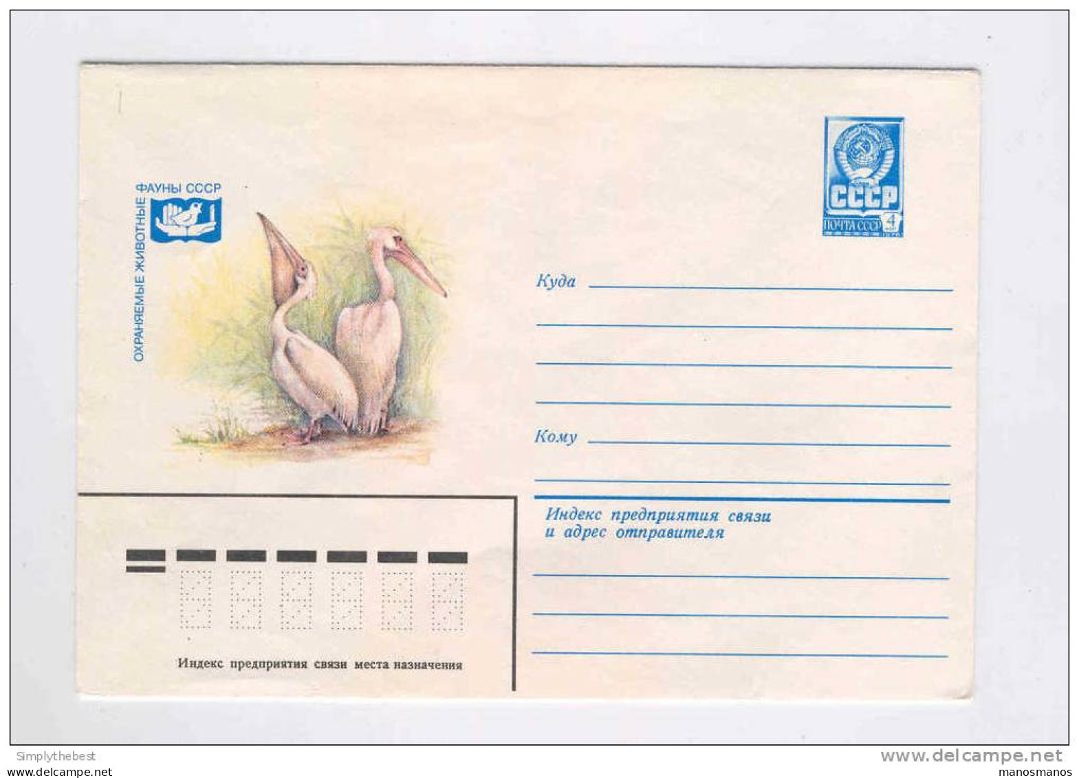 RUSSIE - OISEAUX -  Enveloppe Entier Postal 4 K Pélicans / Neuve  -- 10/822 - Pelikanen