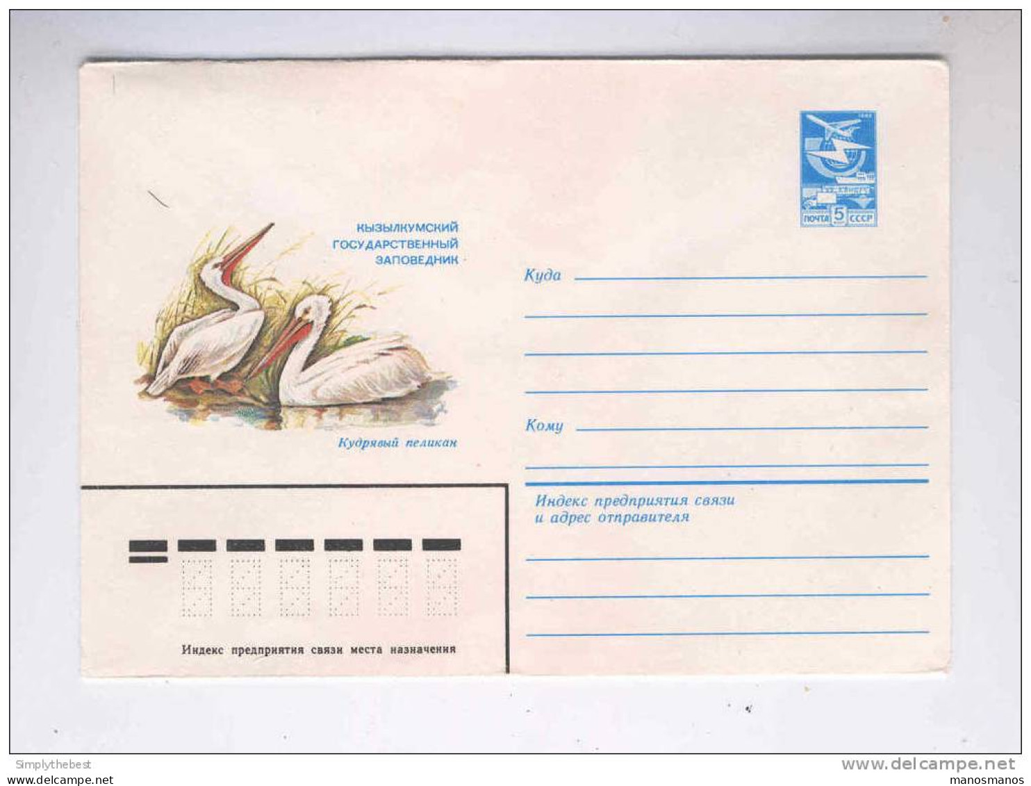 RUSSIE - OISEAUX -  Enveloppe Entier Postal 5 K Jeunes Pélicans  / Neuve  -- 10/829 - Pelikane