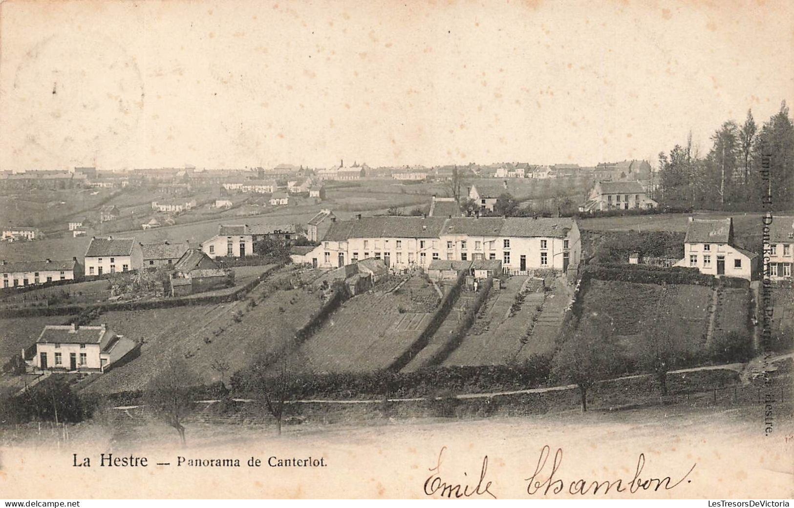BELGIQUE - Manage - La Hestre - Panorama De Canterlot - Carte Postale Ancienne - Manage