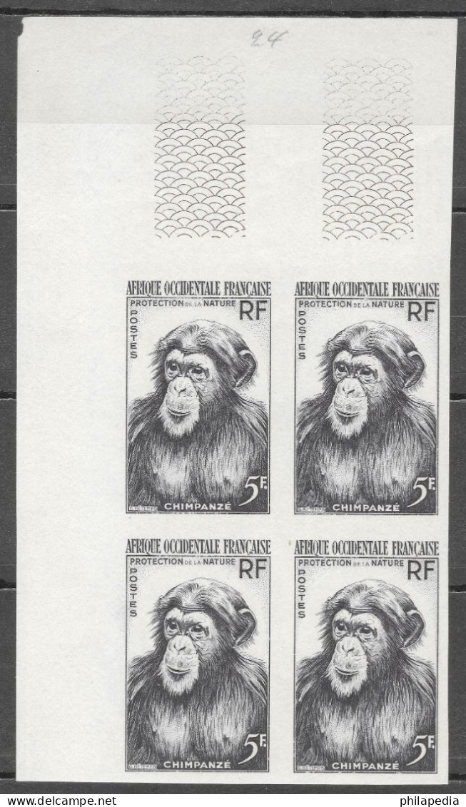 Aof France Faune Singe Chimpanzé Essais Non Dentelés Monkeys Apes Imperfs Proofs Essay Affen Geschnitten ** 1955 + 180 € - Chimpancés