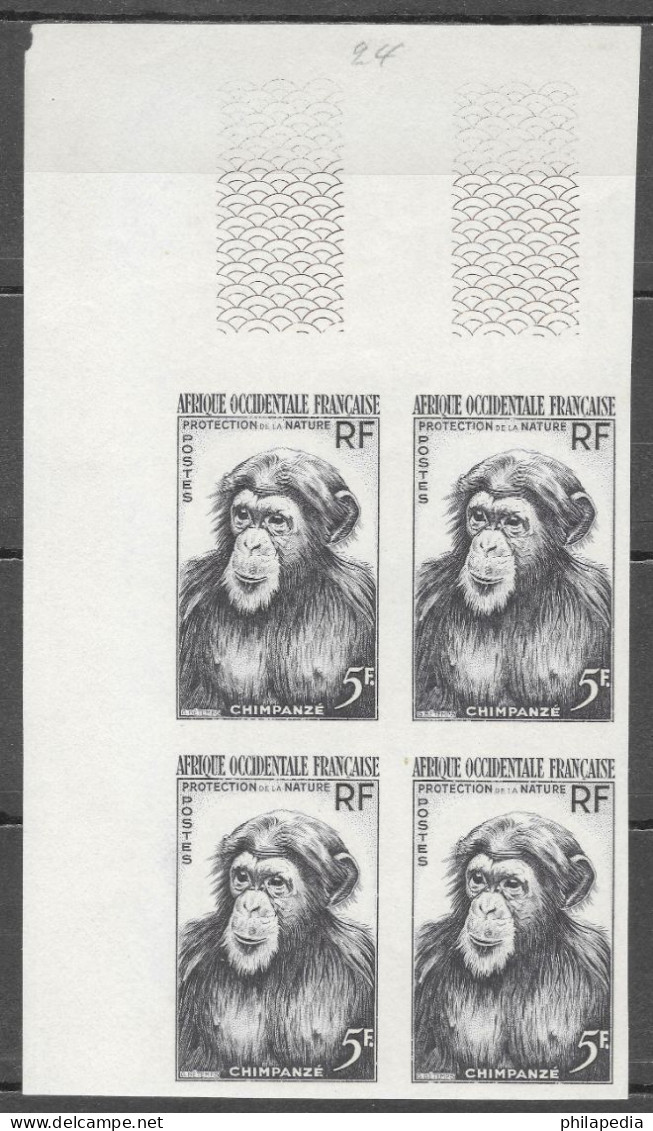 Aof France Faune Singe Chimpanzé Essais Non Dentelés Monkeys Apes Imperfs Proofs Essay Affen Geschnitten ** 1955 + 180 € - Schimpansen