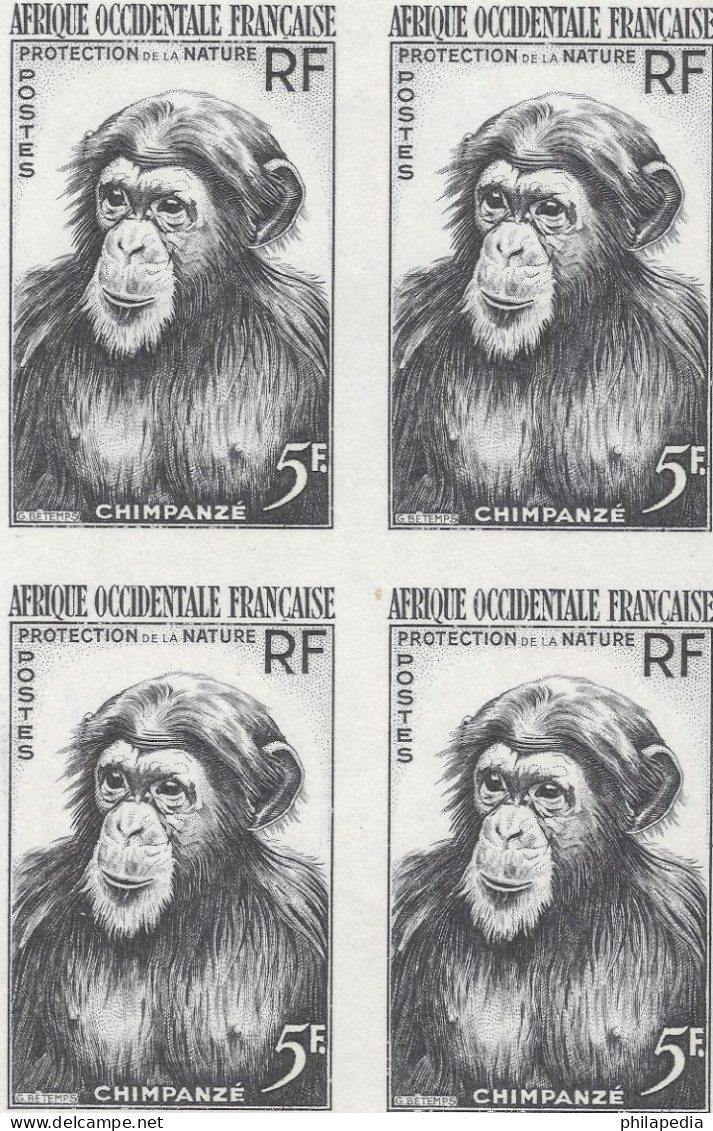 Aof France Faune Singe Chimpanzé Essais Non Dentelés Monkeys Apes Imperfs Proofs Essay Affen Geschnitten ** 1955 + 180 € - Schimpansen