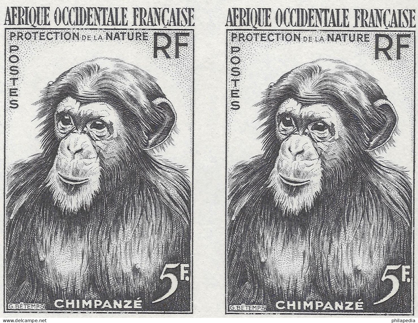 Aof France Faune Singe Chimpanzé Essais Non Dentelés Monkeys Apes Imperfs Proofs Essay Affen Geschnitten ** 1955 + 180 € - Chimpancés