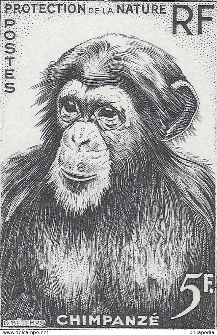 Aof France Faune Singe Chimpanzé Essais Non Dentelés Monkeys Apes Imperfs Proofs Essay Affen Geschnitten ** 1955 + 180 € - Chimpancés