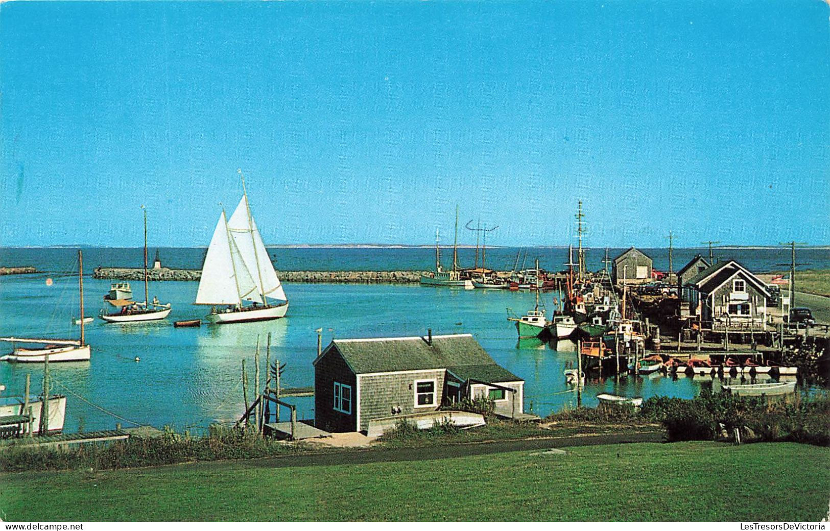 ETATS-UNIS - Bassin De Menemsha - Martha'sVineyard Island - Colorisé - Carte Postale - Autres & Non Classés