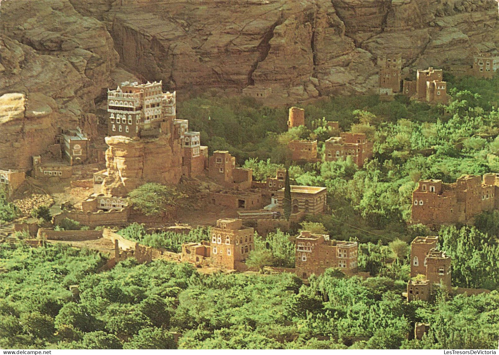 YÉMEN - Dans L'oasis De Wadi Dar - Colorisé - Carte Postale - Yémen