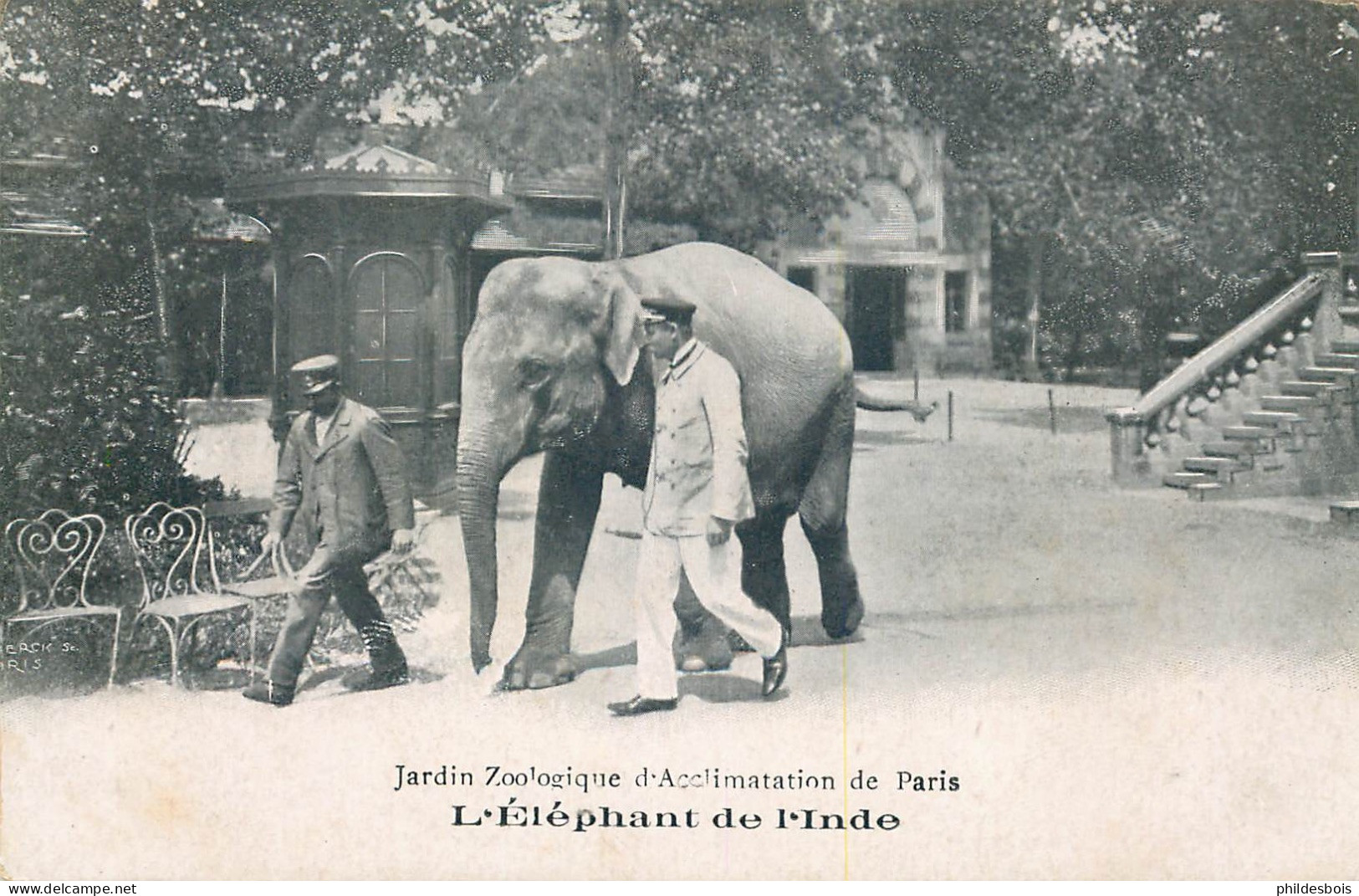 PARIS 16eme   Jardin Zoologique  D'acclimatation  L'Eléphant De L'Inde - Parcs, Jardins