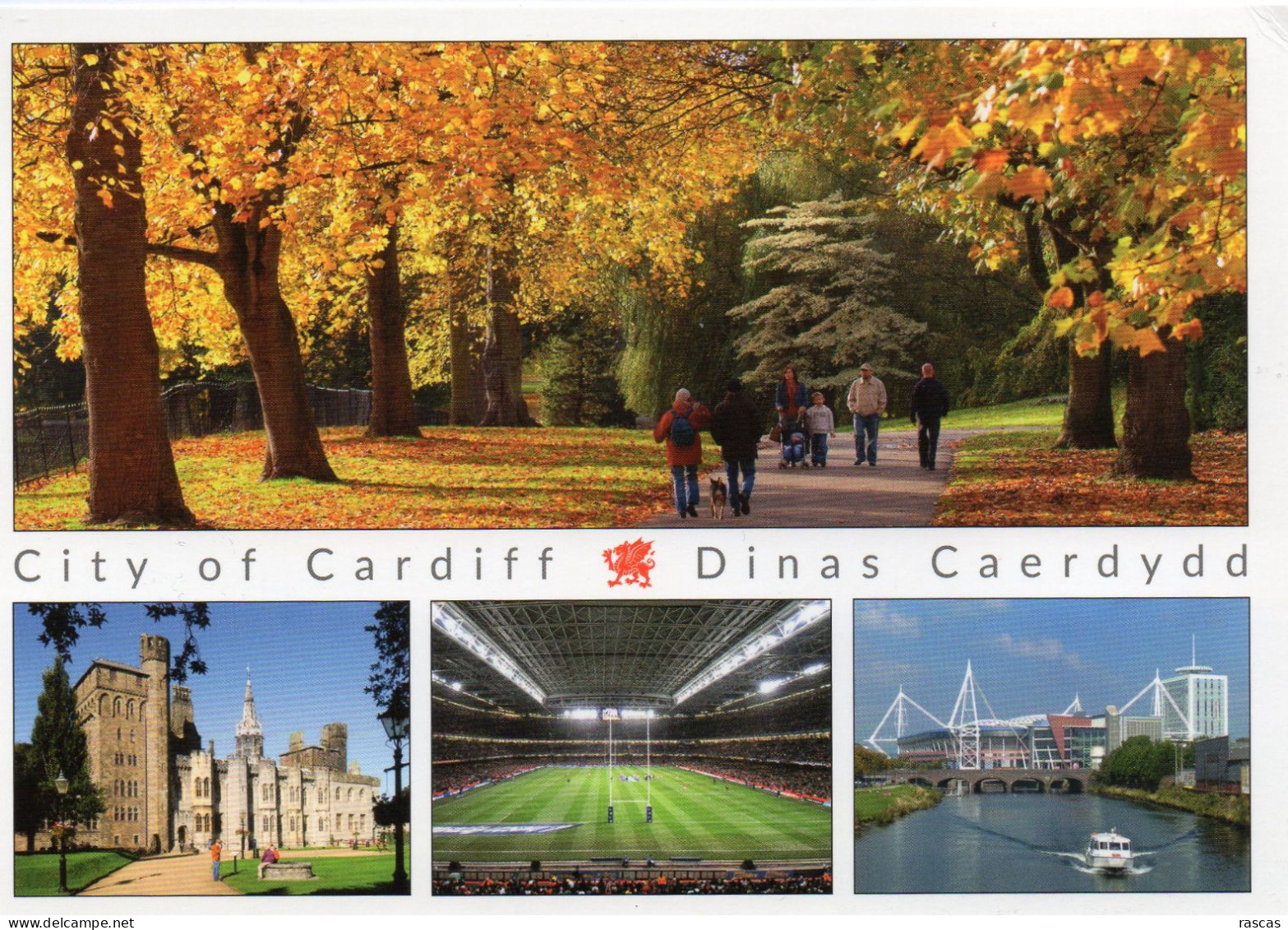 CPM GRAND FORMAT 1 - PAYS DE GALLES - WALES - CITY OF CARDIFF - DINAS CAERDYDD - STADE DE RUGBY - Glamorgan