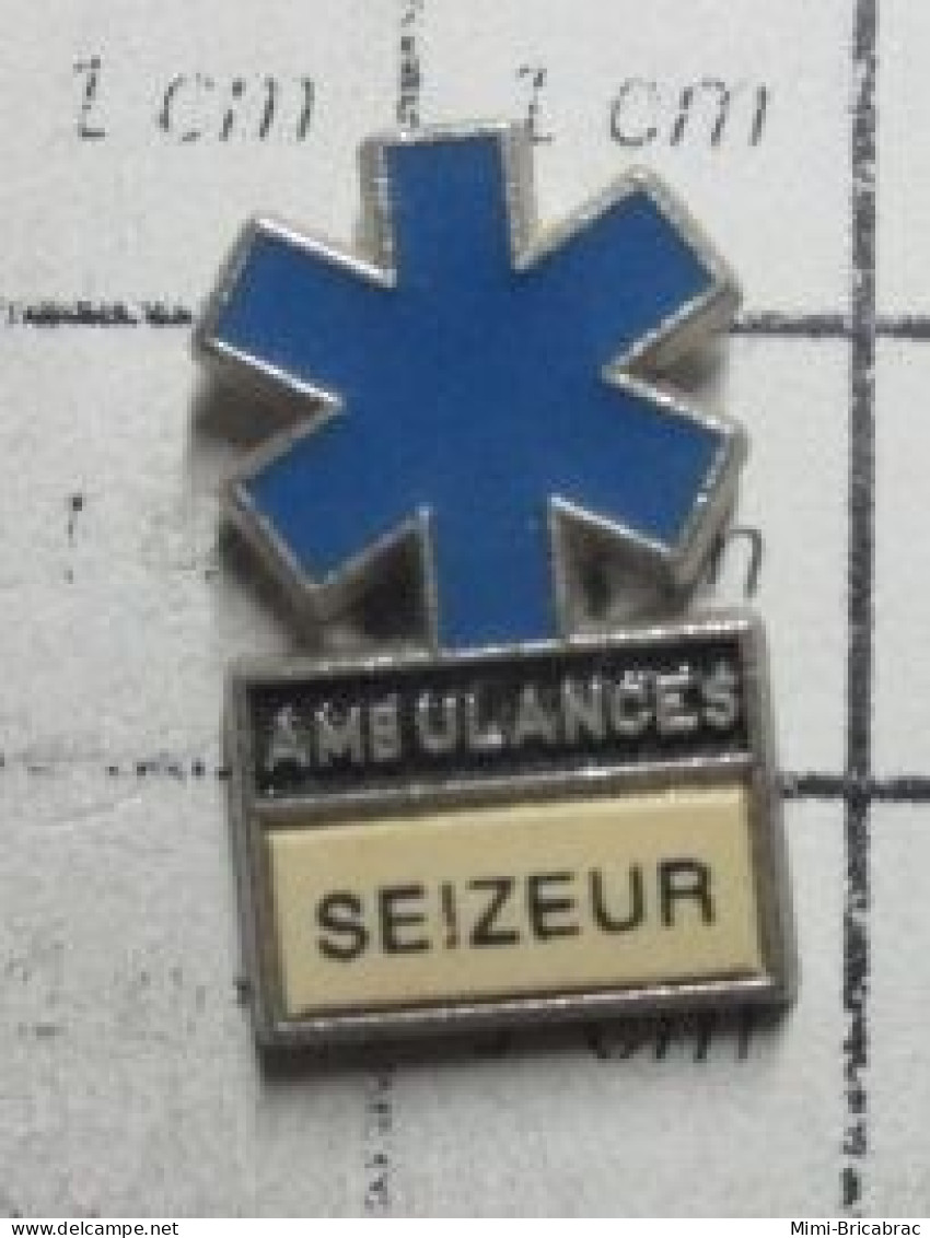 918c  Pin's Pins / Beau Et Rare / TRANSPORTS / AMBULANCES CROIX BLEUE SEIZEUR - TGV