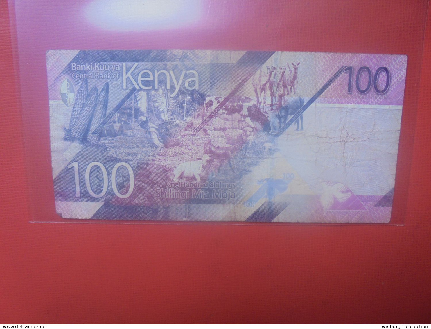 KENYA 100 SHILLINGS 2019 Circuler - Kenya