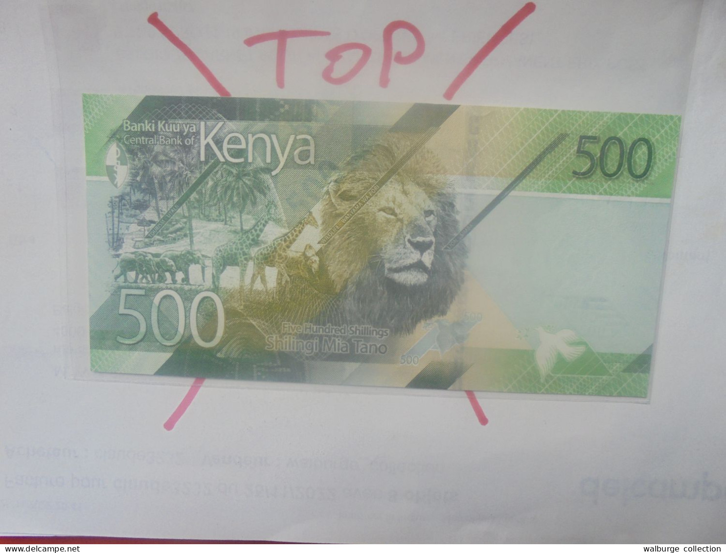 KENYA 500 SHILLINGS 2019 Neuf - Kenya