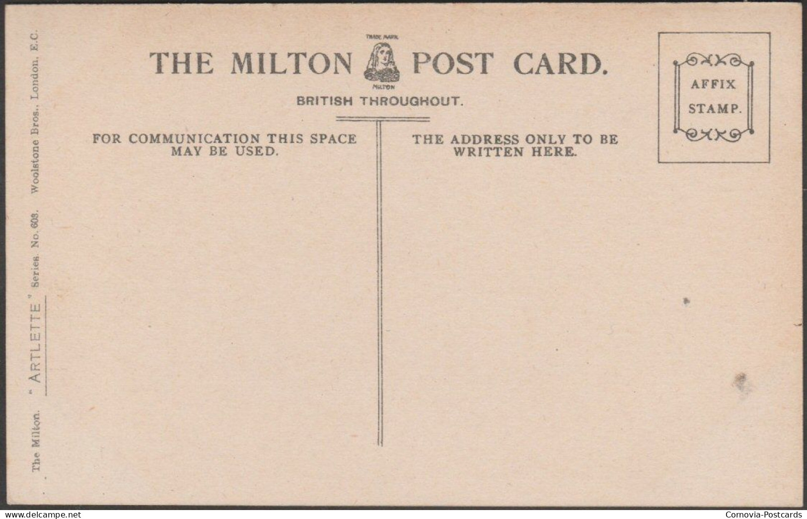 Rougemont Castle, Exeter, Devon, C.1905-10 - Milton Artlette Postcard - Exeter