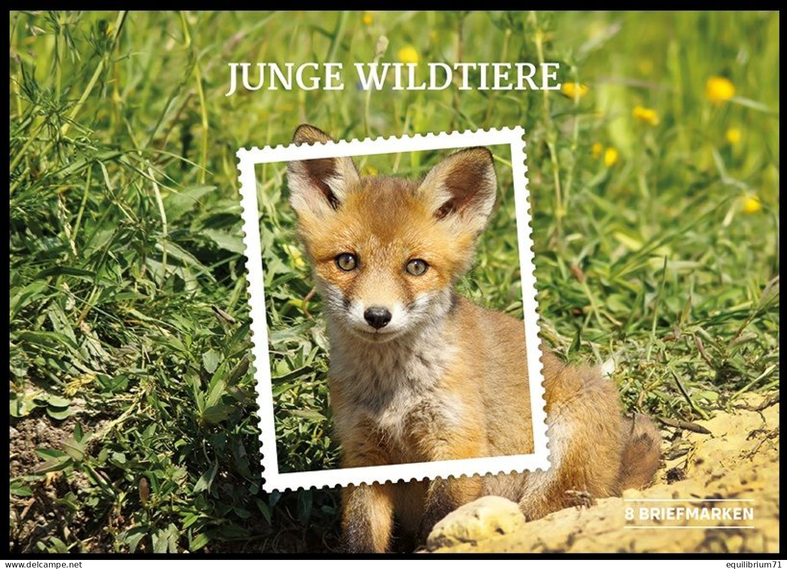 Autriche** - Jeunes Animaux Sauvages / Jonge Wilde Dieren / Junge Wildtiere / Young Wild Animals - Lapins