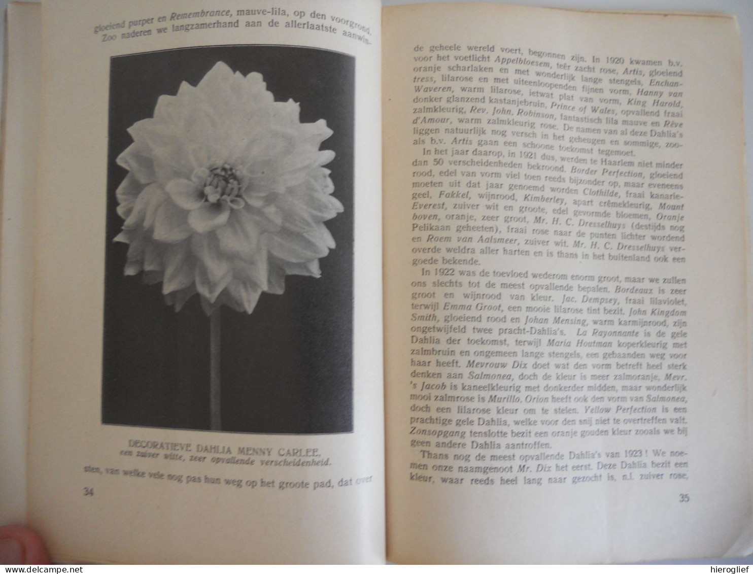 DE DAHLIA Afdeeling PLANT BLOEM VRUCHT Ol J.F.C DIX  Weten En Kunnen - Geschiedenis Tuinrassen Cultuur Behandeling Flora - Prácticos