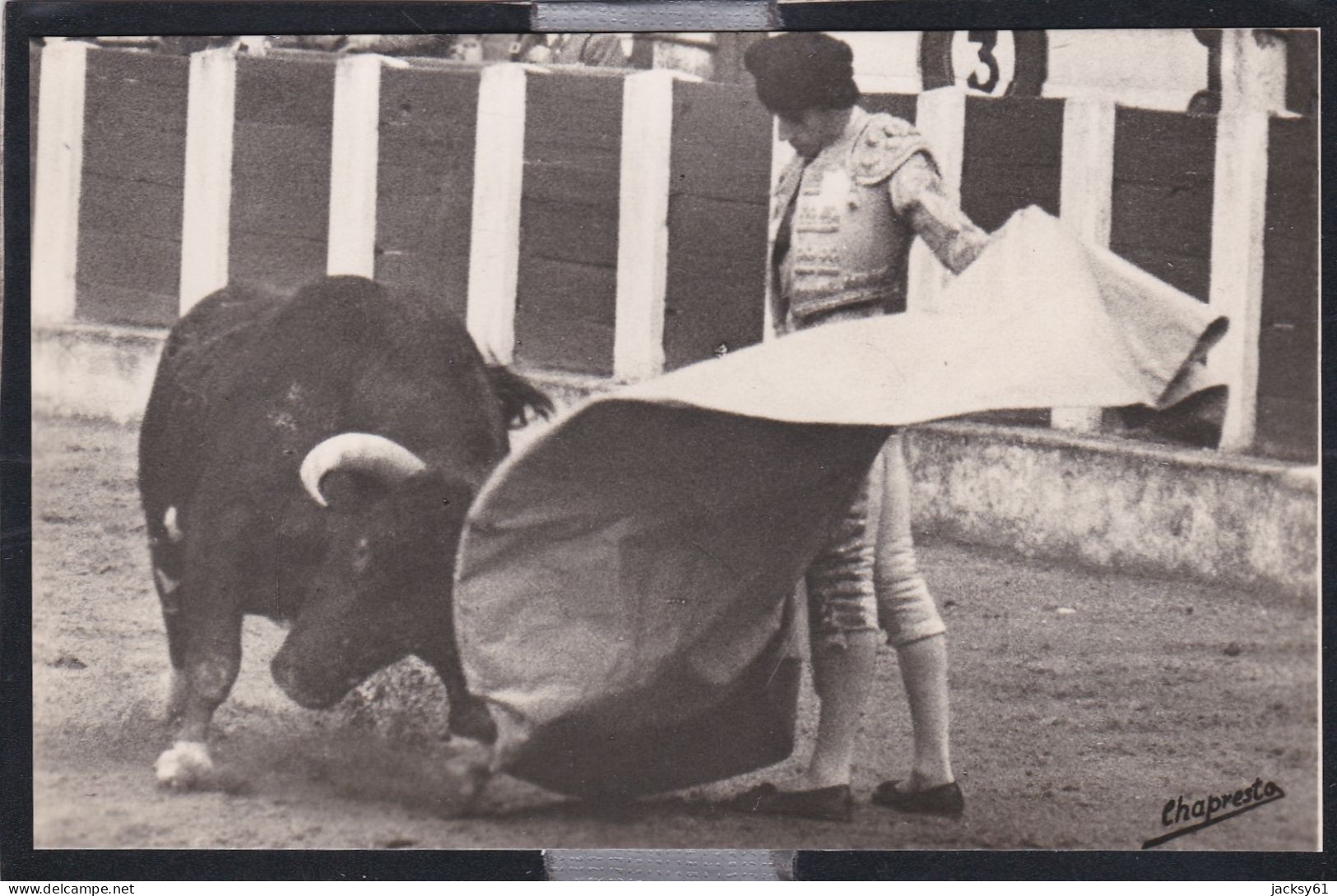 cours de taureaux - ( 6 cpa )