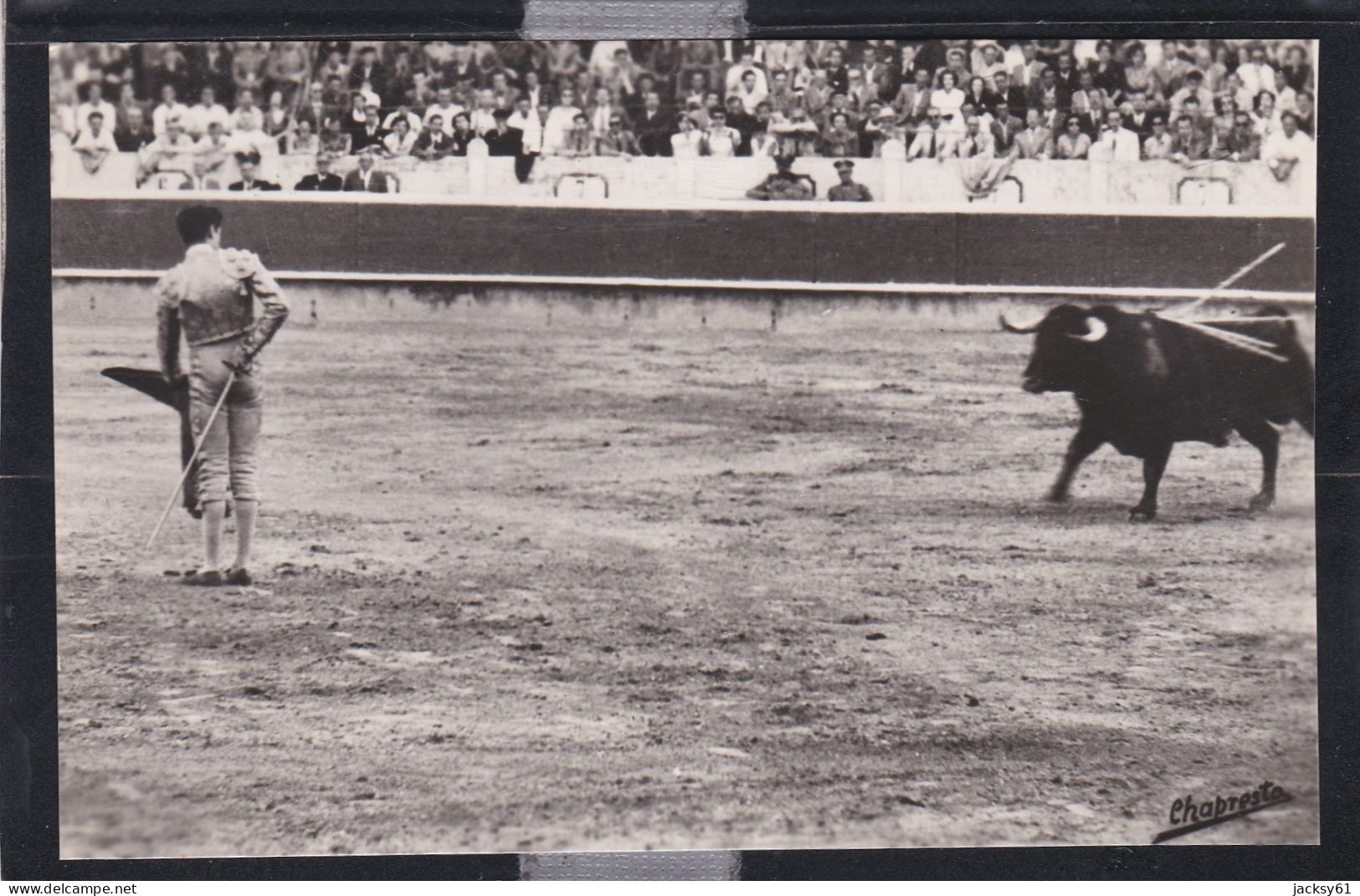 cours de taureaux - ( 6 cpa )