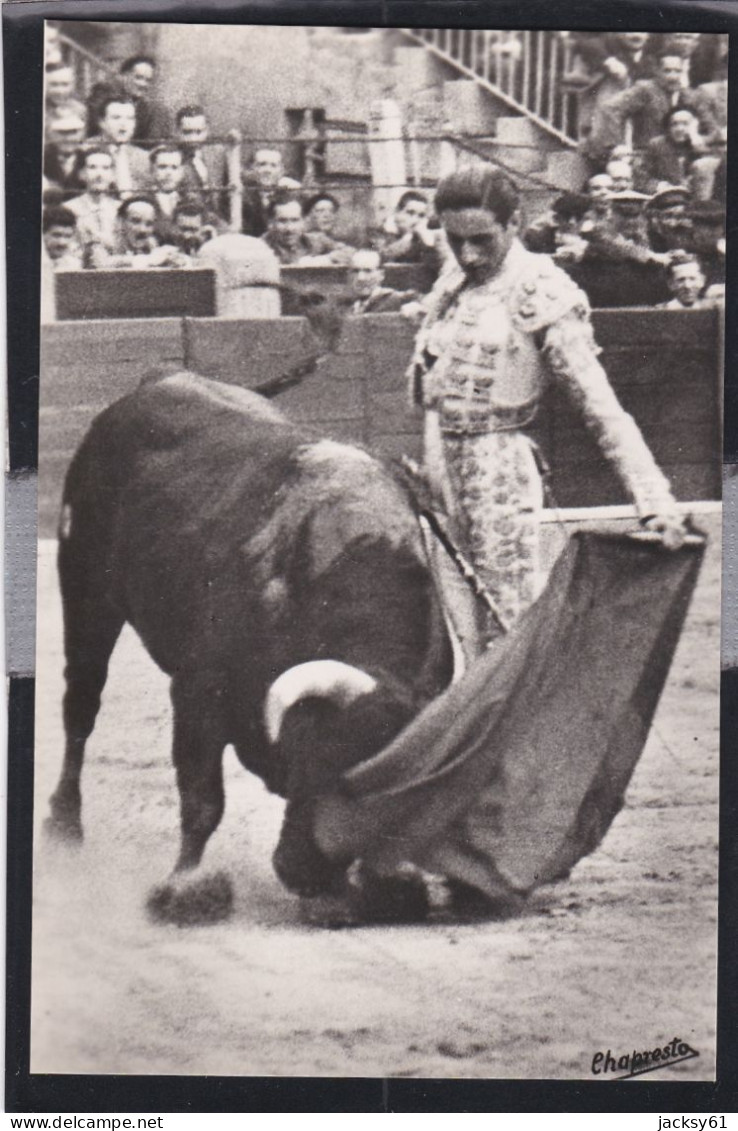 cours de taureaux - ( 6 cpa )