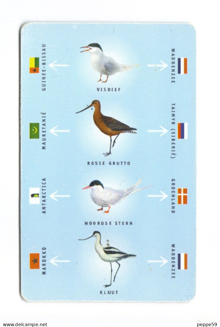 Carta Telefonica Paesi Bassi - Birds Of FL. 10  -  Carte Telefoniche@Scheda@Schede@Phonecards@Telecarte@Telefonkarte - Publiques