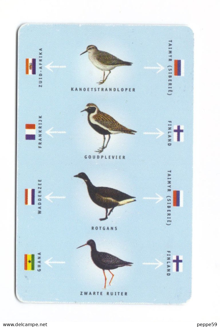 Carta Telefonica Paesi Bassi - Birds Of FL. 25  -  Carte Telefoniche@Scheda@Schede@Phonecards@Telecarte@Telefonkarte - Publiques