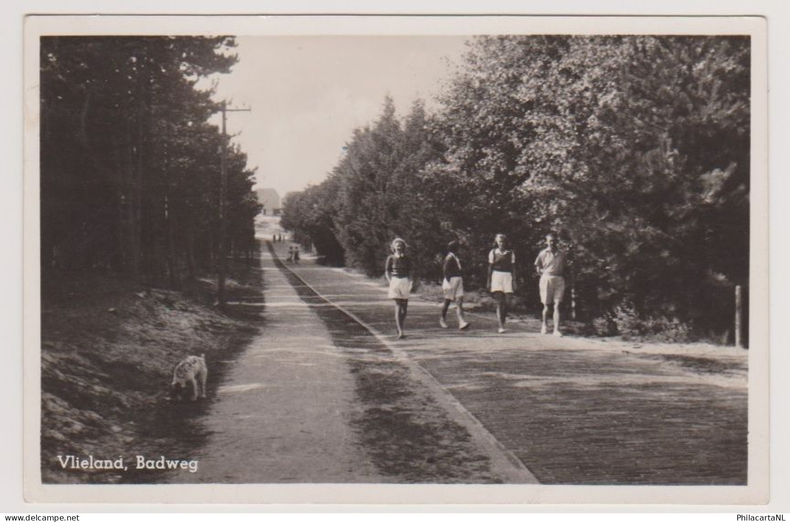 Vlieland - Badweg Met Wandelaars - Vlieland