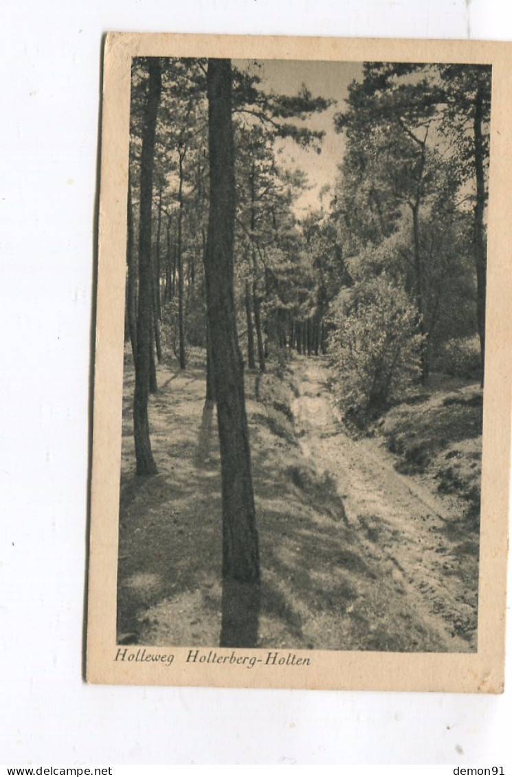 CPSM PF - Holleweg - Holterberg Holten - Cachet De 1954 - - Holten