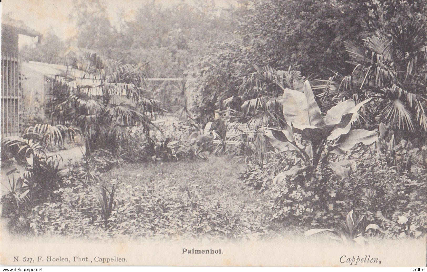 KAPELLEN 1903 PALMENHOF - EXOTISCHE TUIN - HOELEN 527 - Kapellen