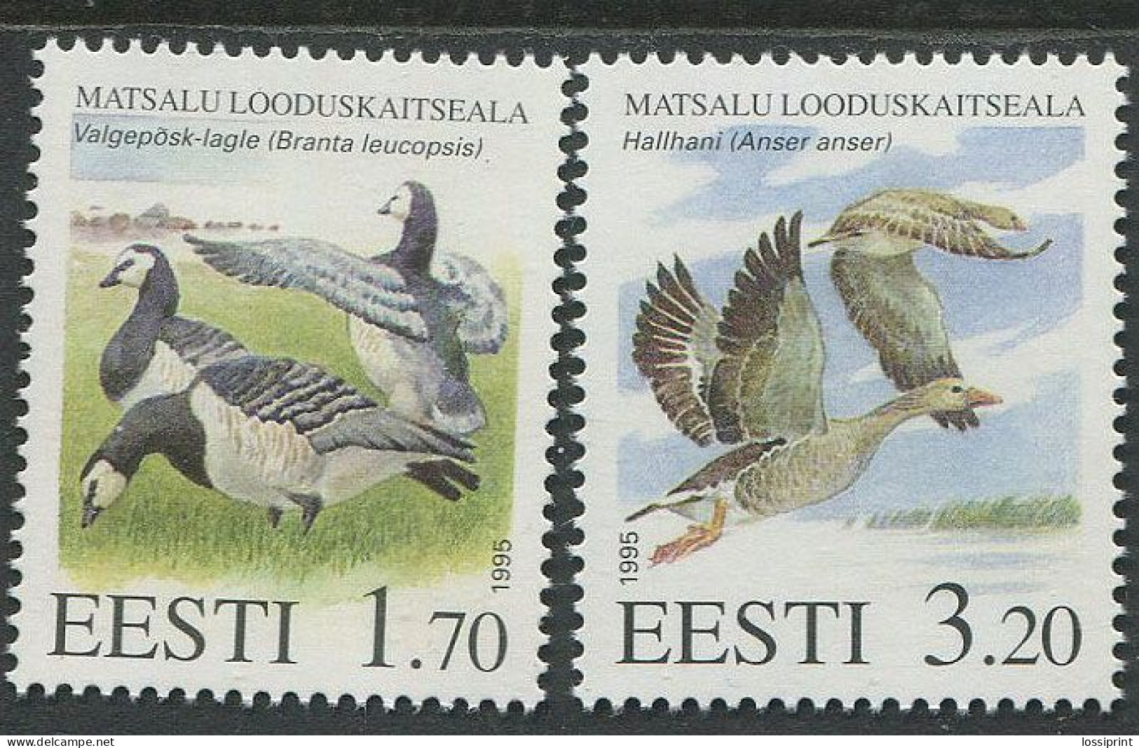 Estonia:Unused Stamps Matsalu Nature Park, Birds, 1995, MNH - Estonie