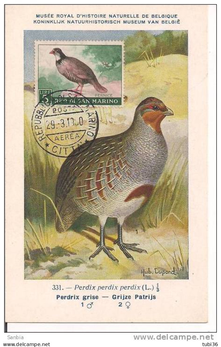 PERNICE, SAN MARINO - ANNULLO  SPECIALE   SU CARTOLINA DEDICATA, - Grey Partridge