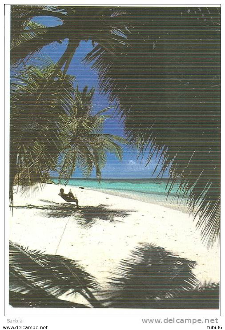 MALDIVE -POSTCARD, COLOR, USED 1988, ITALY DESTINATION. - Maldives