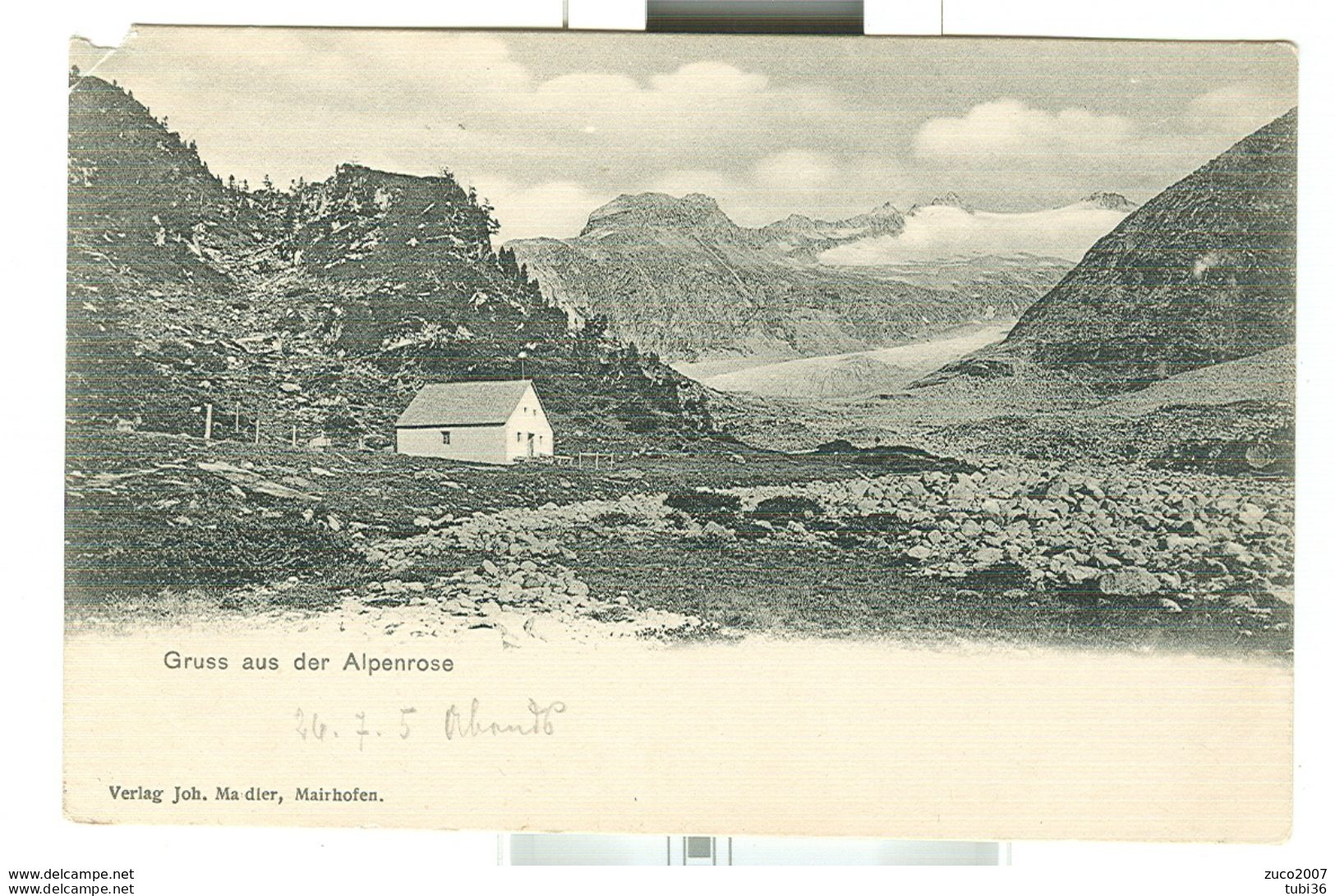 Austria, Tirol,"Alpenrose",1905, N/V - - Hall In Tirol