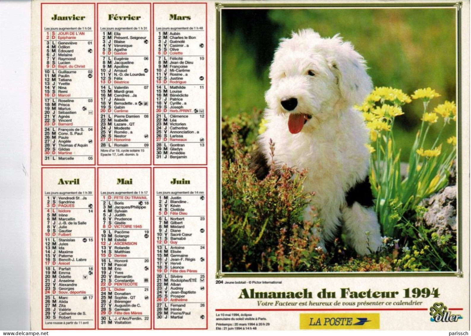 Calendrier Des Postes 1994 - Chiot Bobtail - Persan Blanc - Fleurs, Bruyères, Pensées, Coupe, Pierre - Formato Grande : 1991-00