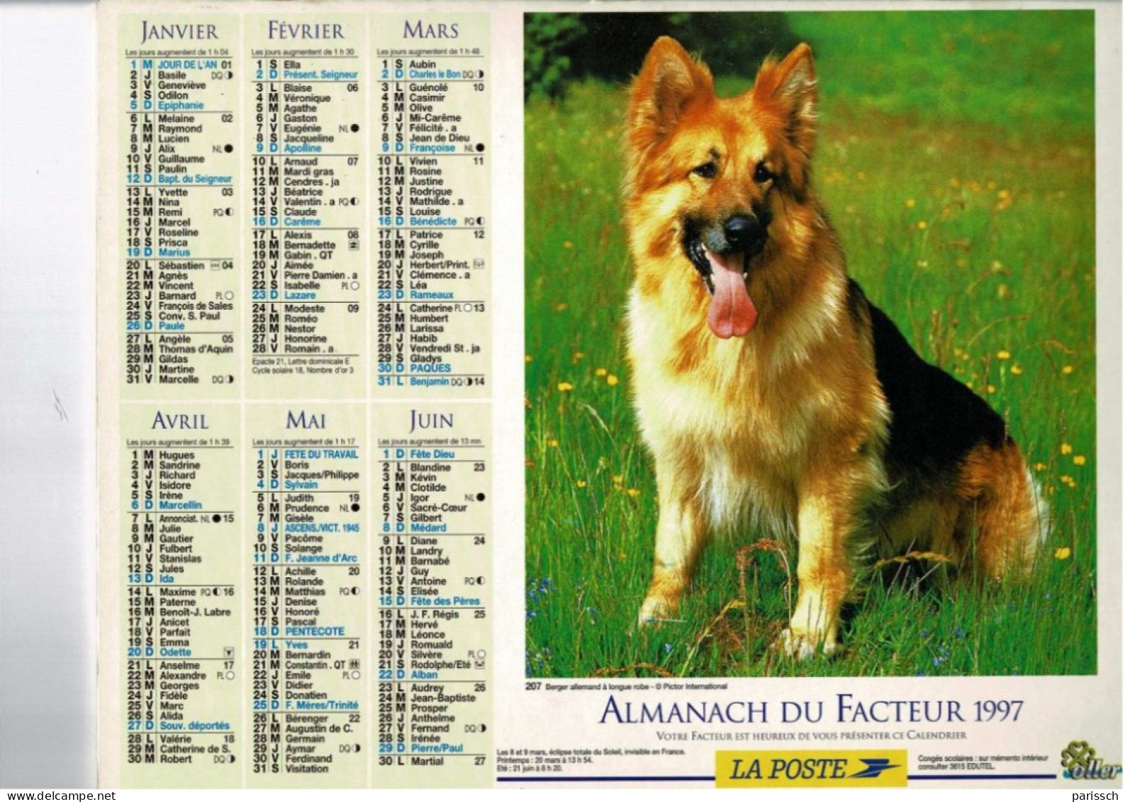 Calendrier Des Postes 1997 - Berger Allemand - Shetlands - Roses - Herbe - Formato Grande : 1991-00