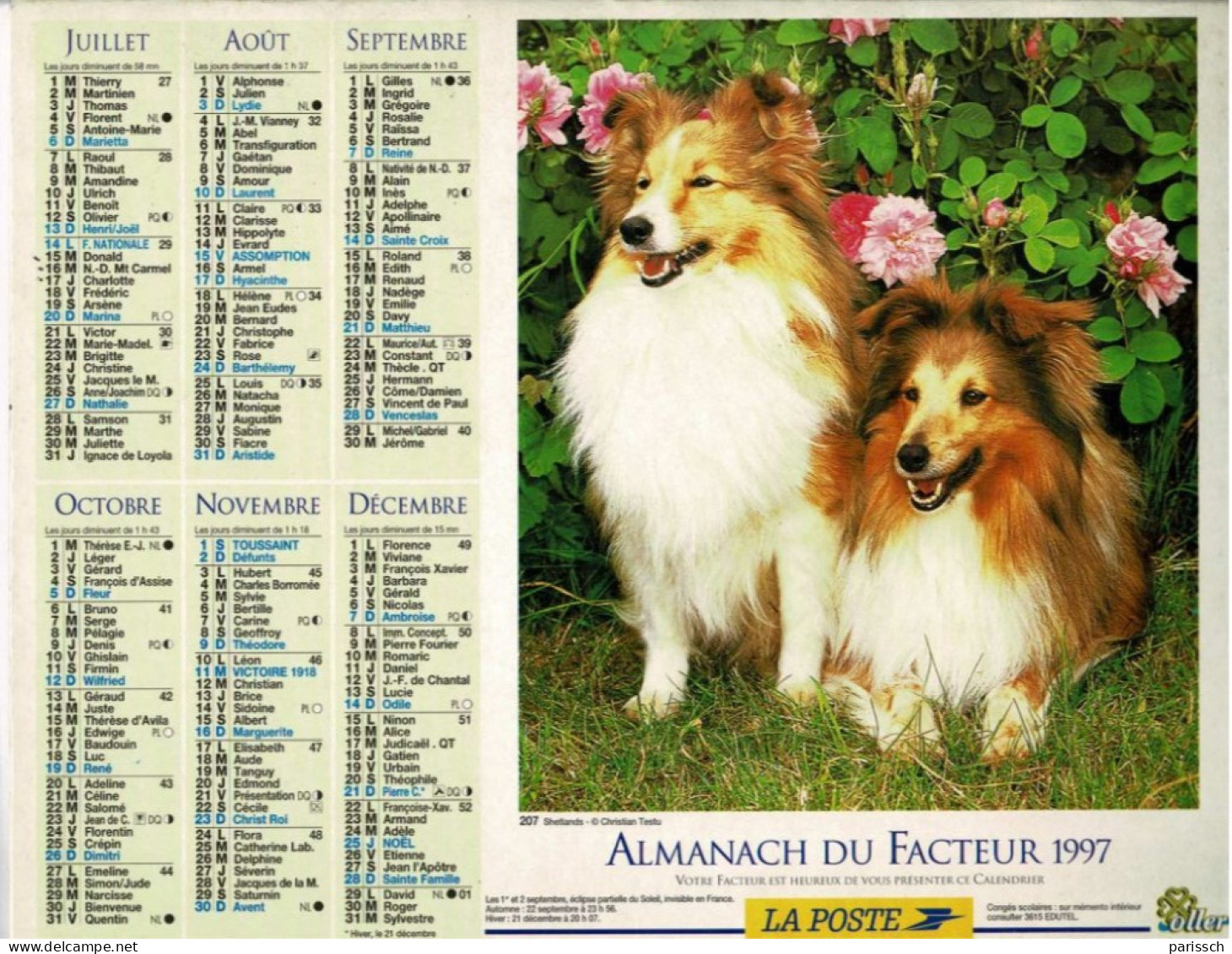 Calendrier Des Postes 1997 - Berger Allemand - Shetlands - Roses - Herbe - Big : 1991-00