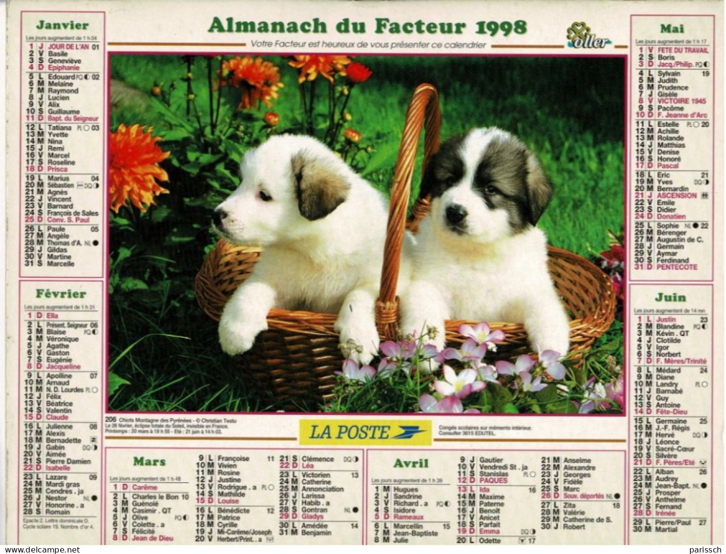 Calendrier Des Postes 1998 - Chiots Montagne Des Pyrénées - Chatons Blancs - Dahlias, Panier Osier, Roses - Grand Format : 1991-00